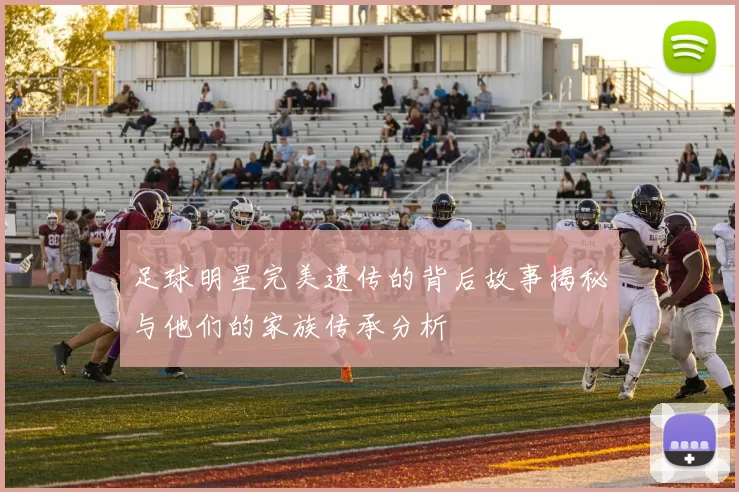 足球明星完美遗传的背后故事揭秘与他们的家族传承分析