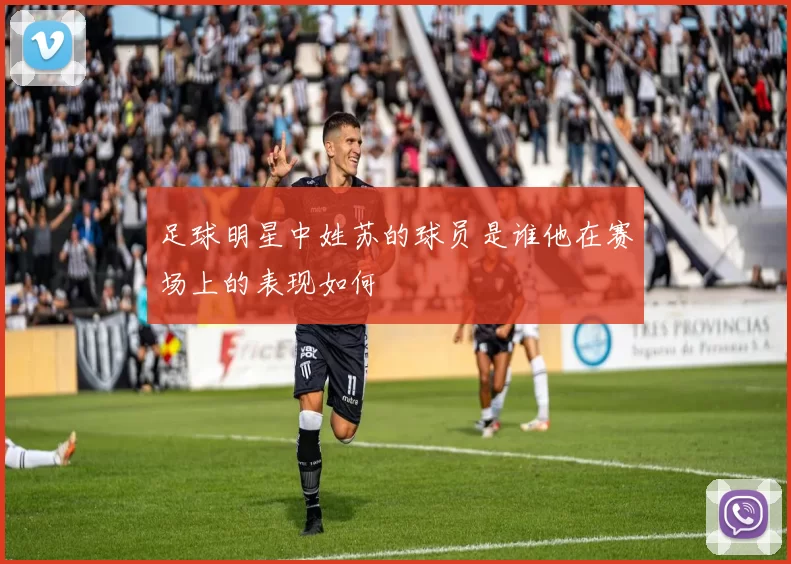 足球明星中姓苏的球员是谁他在赛场上的表现如何