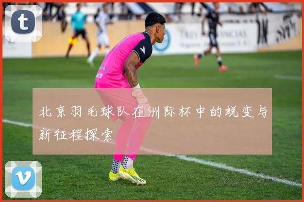 北京羽毛球队在洲际杯中的蜕变与新征程探索