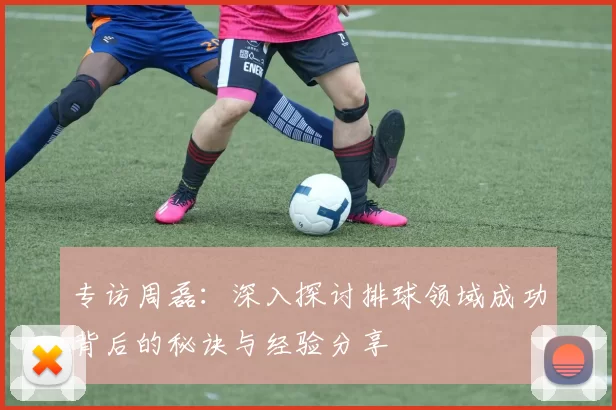 专访周磊：深入探讨排球领域成功背后的秘诀与经验分享