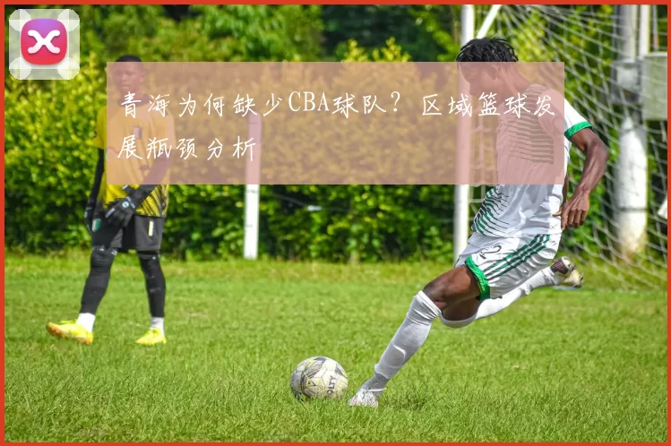 青海为何缺少CBA球队？区域篮球发展瓶颈分析