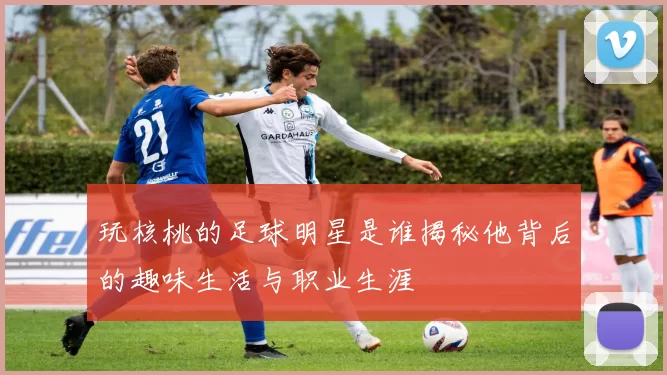 玩核桃的足球明星是谁揭秘他背后的趣味生活与职业生涯