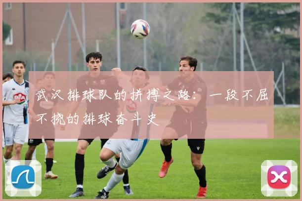 武汉排球队的拼搏之路：一段不屈不挠的排球奋斗史
