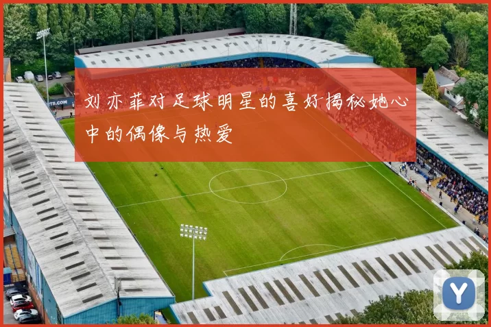 刘亦菲对足球明星的喜好揭秘她心中的偶像与热爱