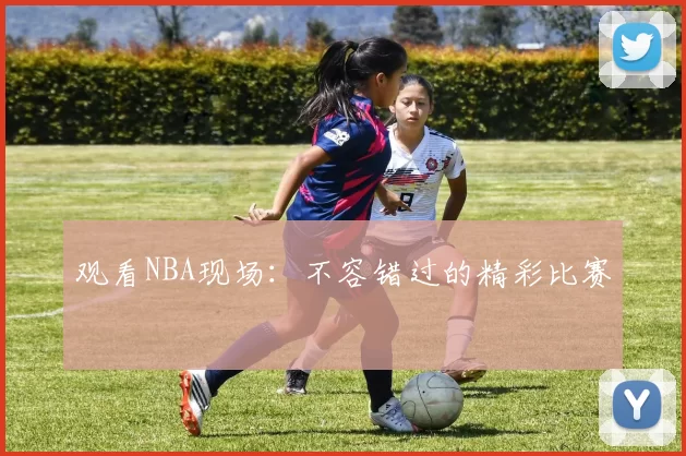 观看NBA现场：不容错过的精彩比赛