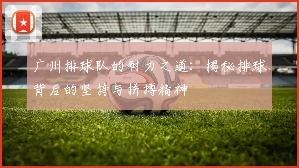 广州排球队的耐力之道：揭秘排球背后的坚持与拼搏精神