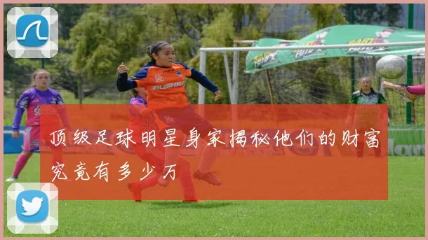 顶级足球明星身家揭秘他们的财富究竟有多少万