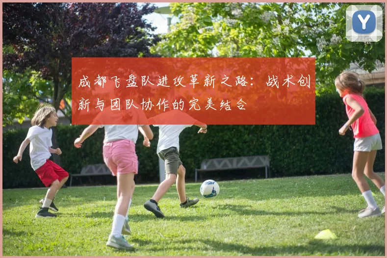 成都飞盘队进攻革新之路：战术创新与团队协作的完美结合