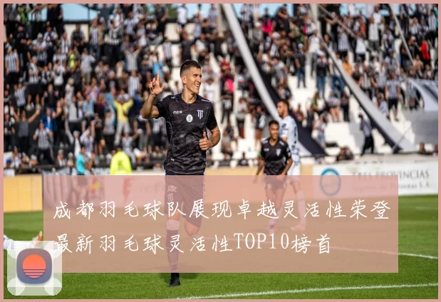 成都羽毛球队展现卓越灵活性荣登最新羽毛球灵活性TOP10榜首
