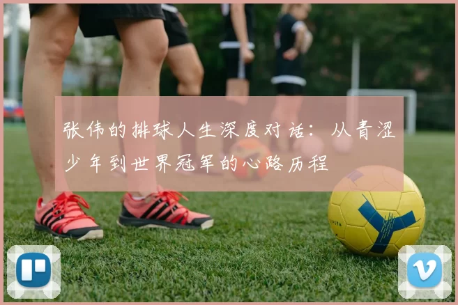 张伟的排球人生深度对话：从青涩少年到世界冠军的心路历程