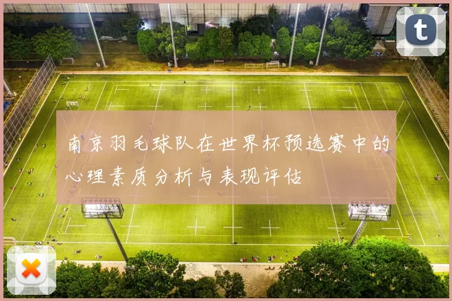 南京羽毛球队在世界杯预选赛中的心理素质分析与表现评估