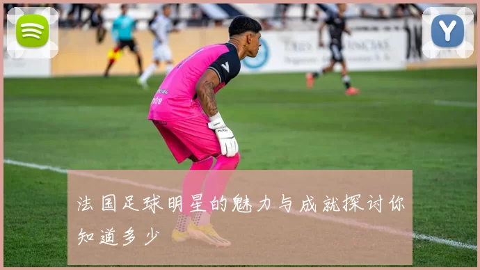 法国足球明星的魅力与成就探讨你知道多少