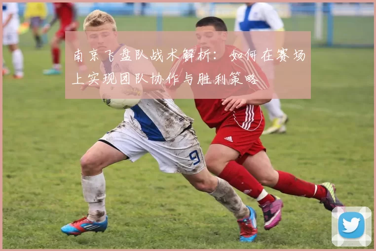 南京飞盘队战术解析：如何在赛场上实现团队协作与胜利策略