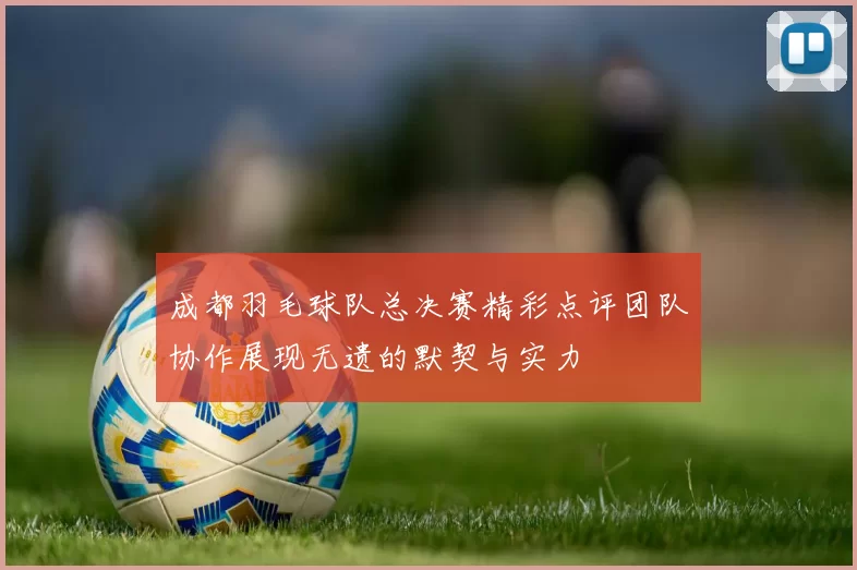 成都羽毛球队总决赛精彩点评团队协作展现无遗的默契与实力