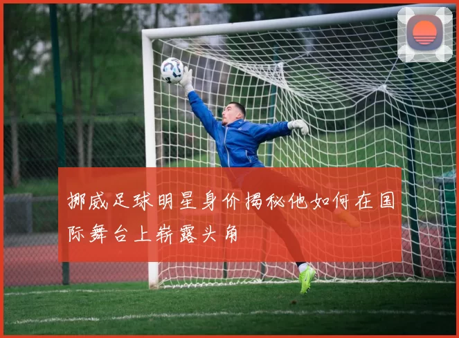 挪威足球明星身价揭秘他如何在国际舞台上崭露头角