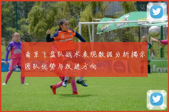 南京飞盘队战术表现数据分析揭示团队优势与改进方向